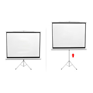 rent-video-projection-screen-tripod-height
